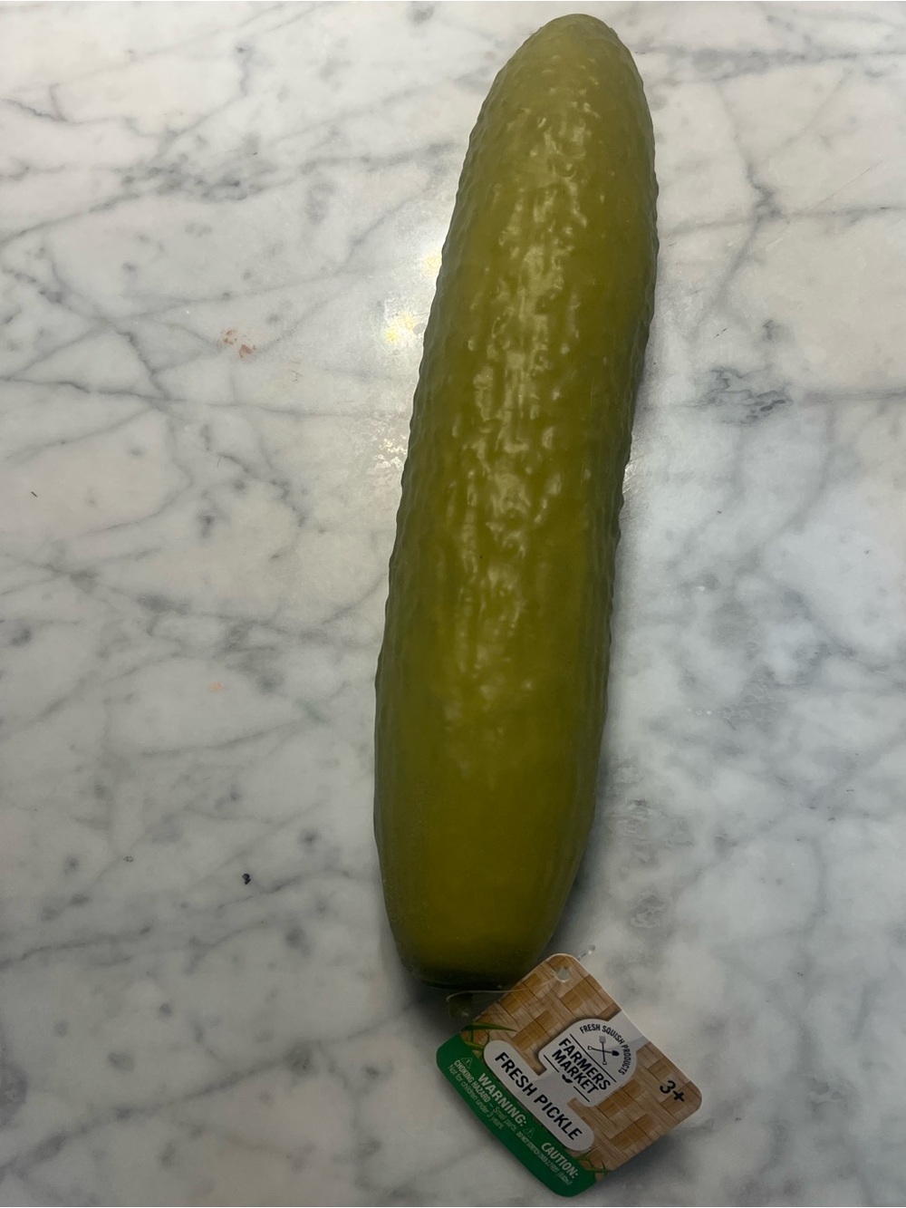 VIRAL TIKTOK Pickle squishy